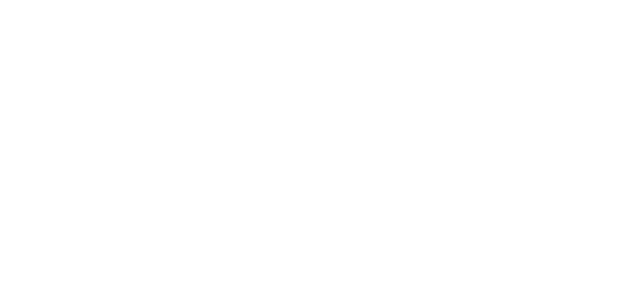 HamaNasi Logo